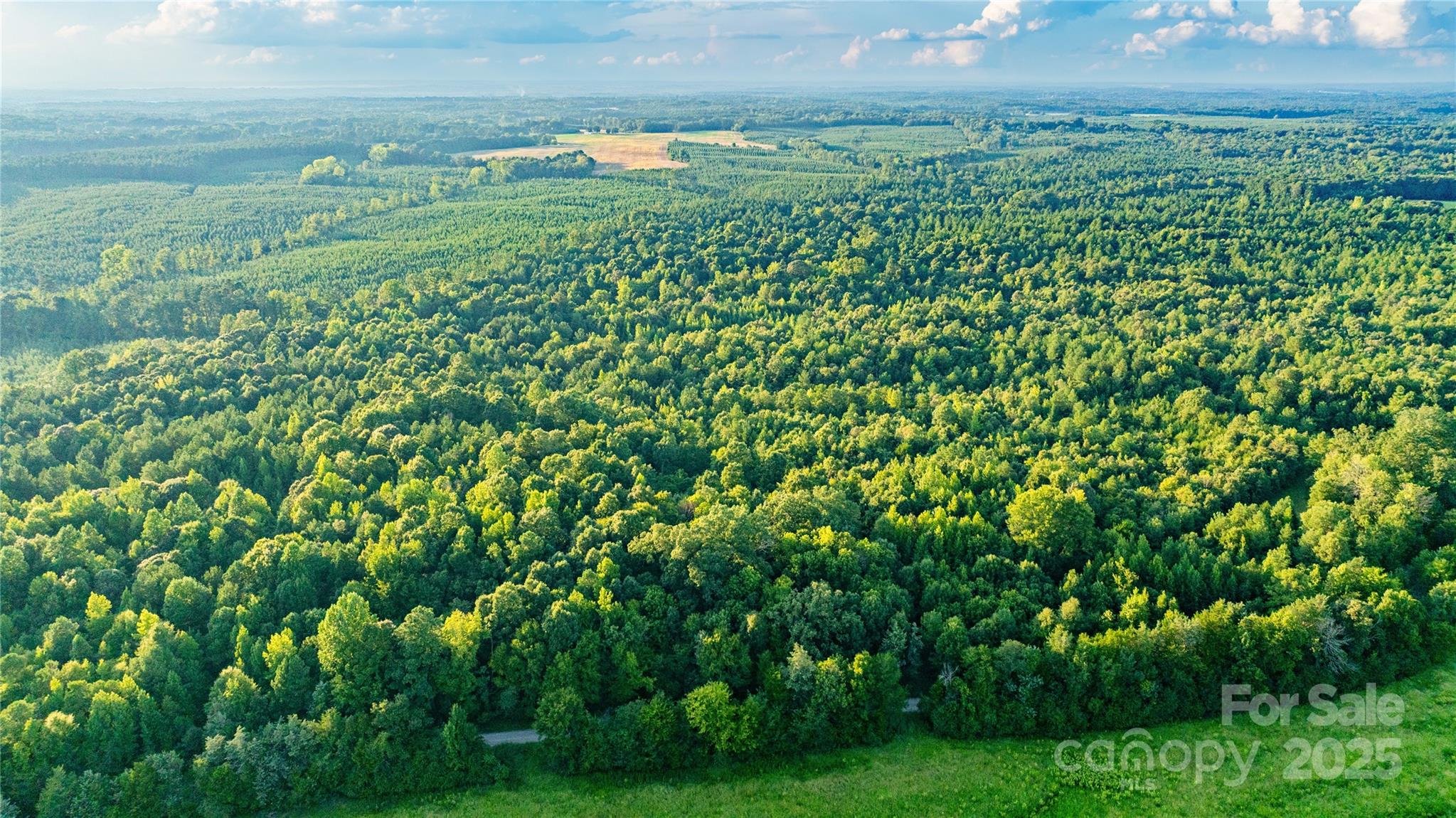 0 Daystar Road, Unit 9 Lancaster, SC 29720 - Photo 4 of 23