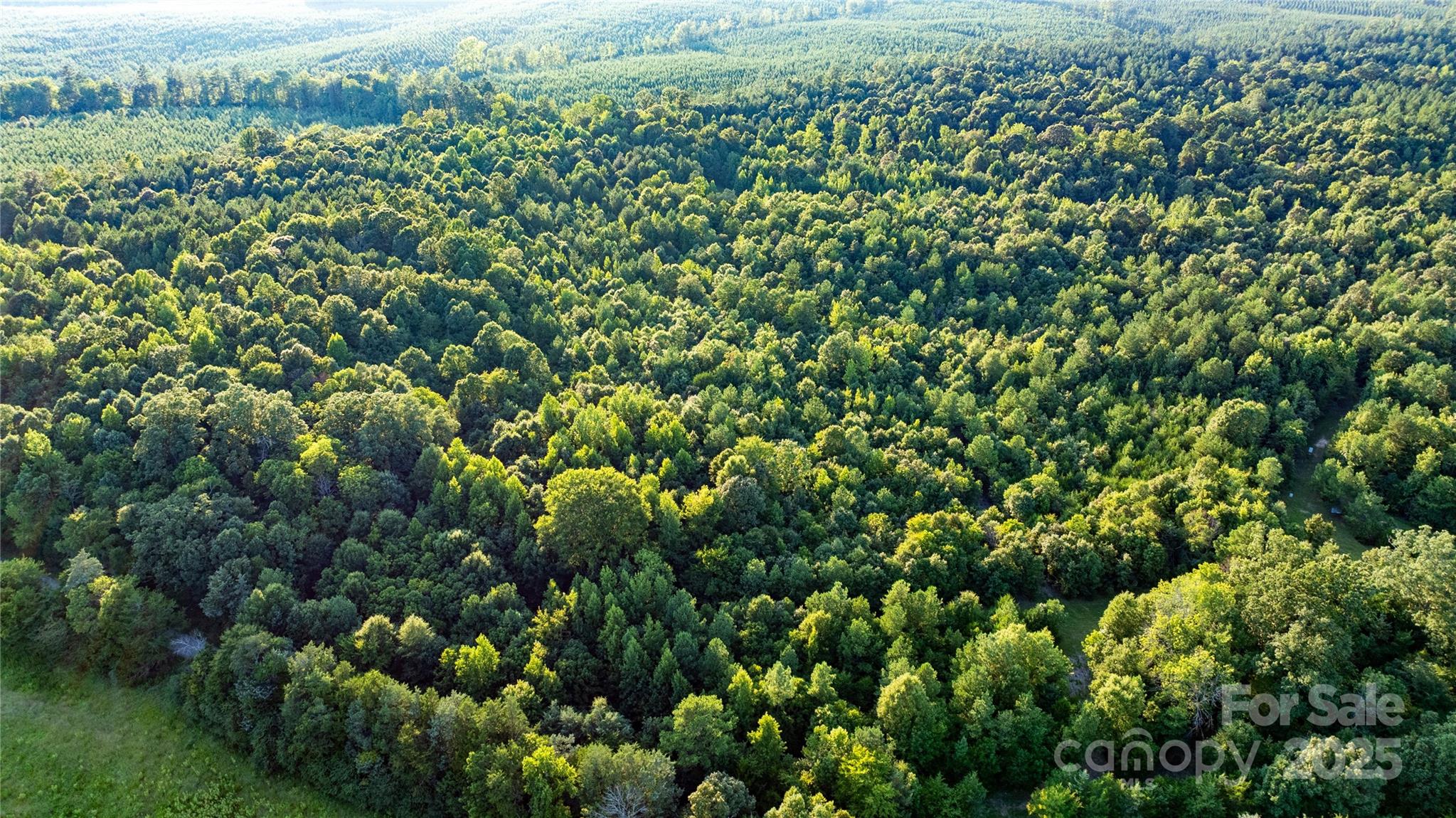 0 Daystar Road, Unit 9 Lancaster, SC 29720 - Photo 8 of 23