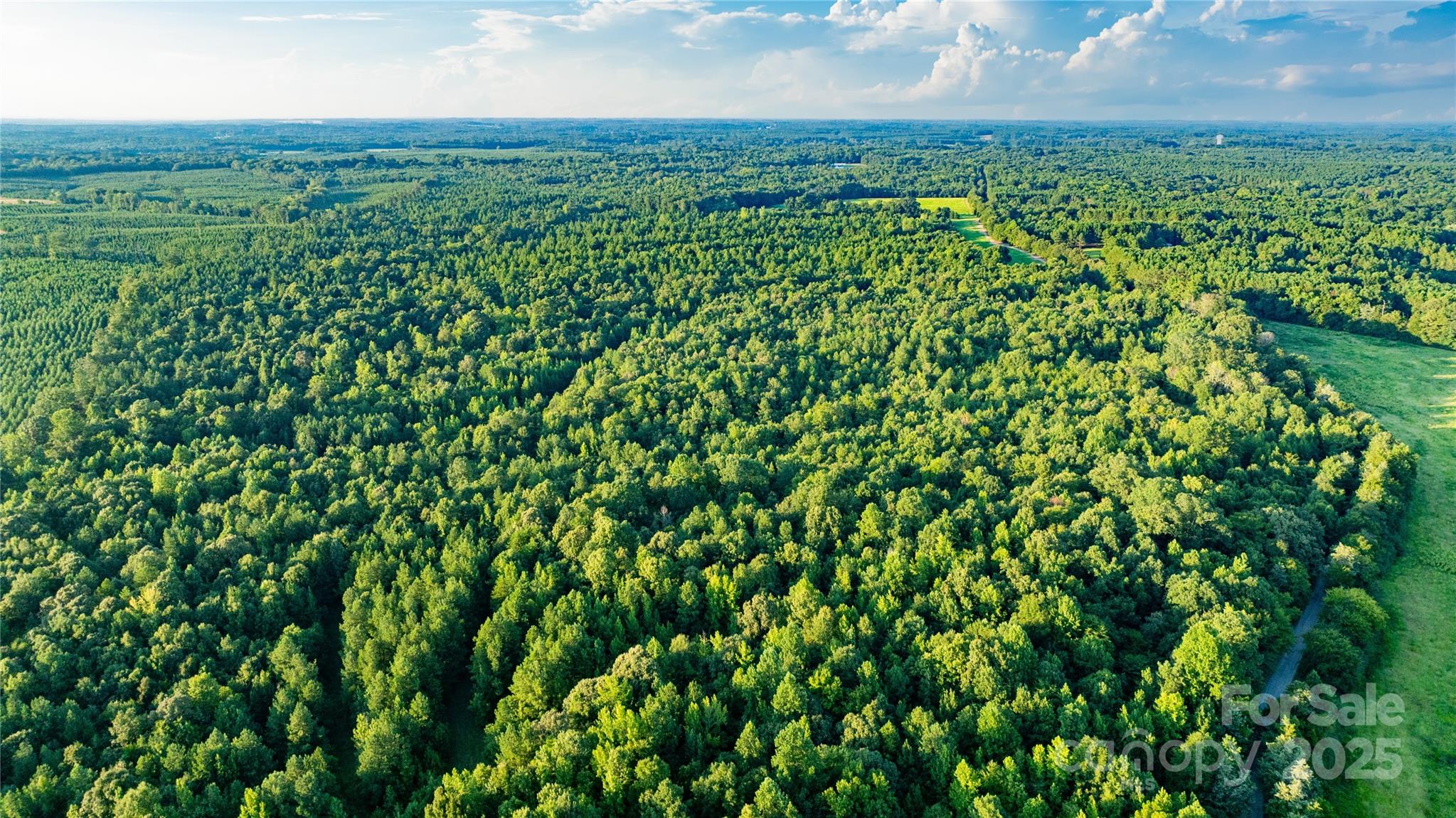 0 Daystar Road, Unit 9 Lancaster, SC 29720 - Photo 9 of 23