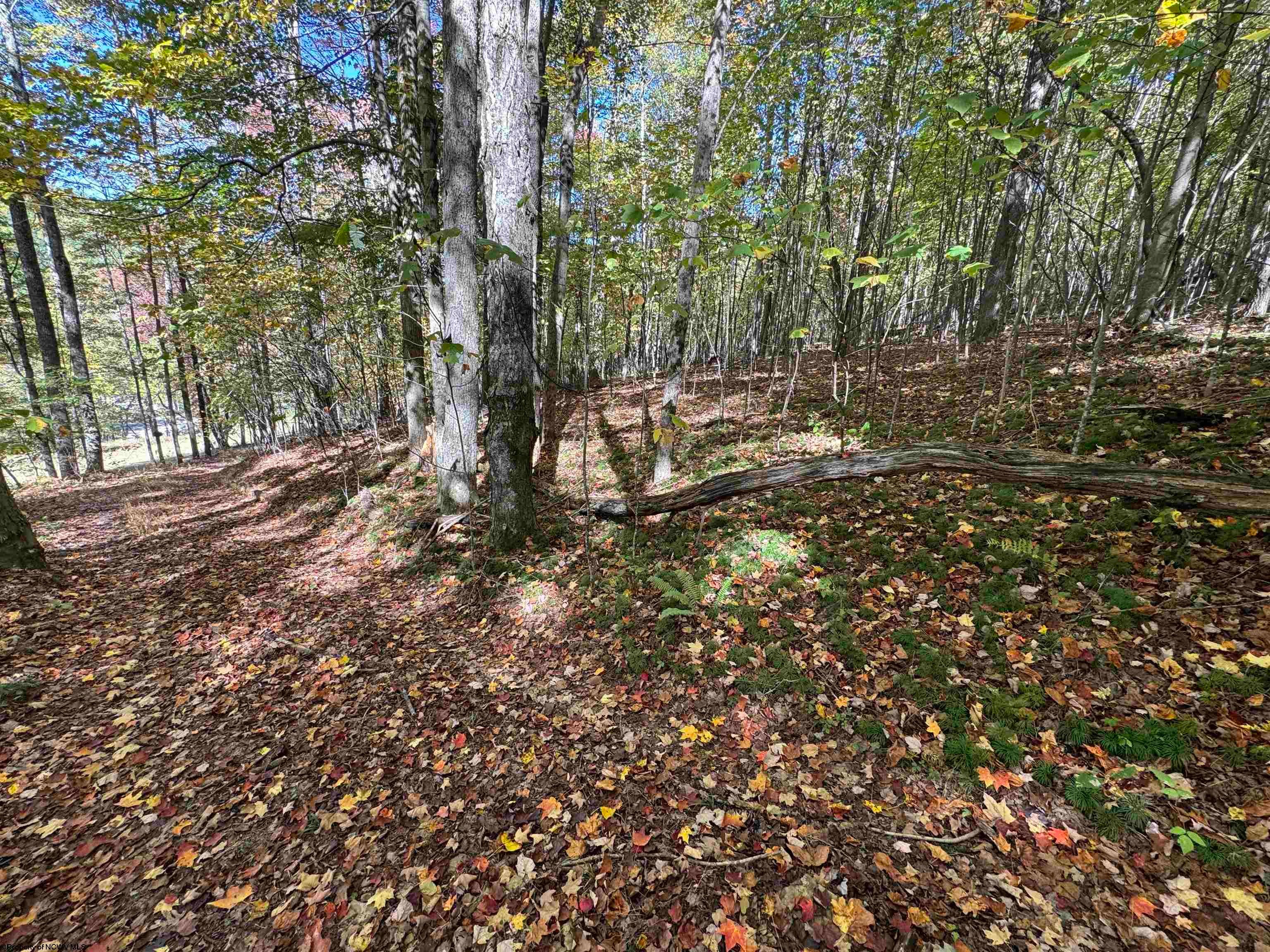 3 B Isner Elkins, WV 26241 - Photo 2 of 6 Gallery Image 2