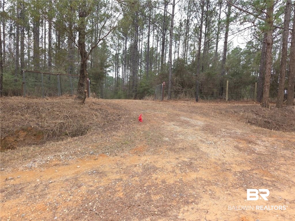 0 Chunchula Landfill Road Chunchula, AL 36521 - Photo 1 of 3