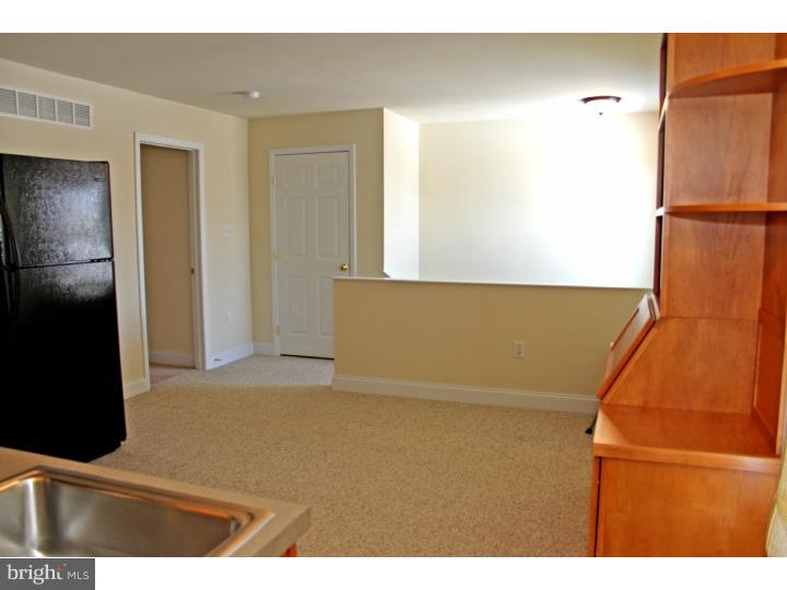 1021 Gibraltar Road Birdsboro, PA 19508 - Photo 19 of 20 In-law Suite
