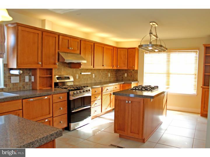 1021 Gibraltar Road Birdsboro, PA 19508 - Photo 4 of 20 Kitchen