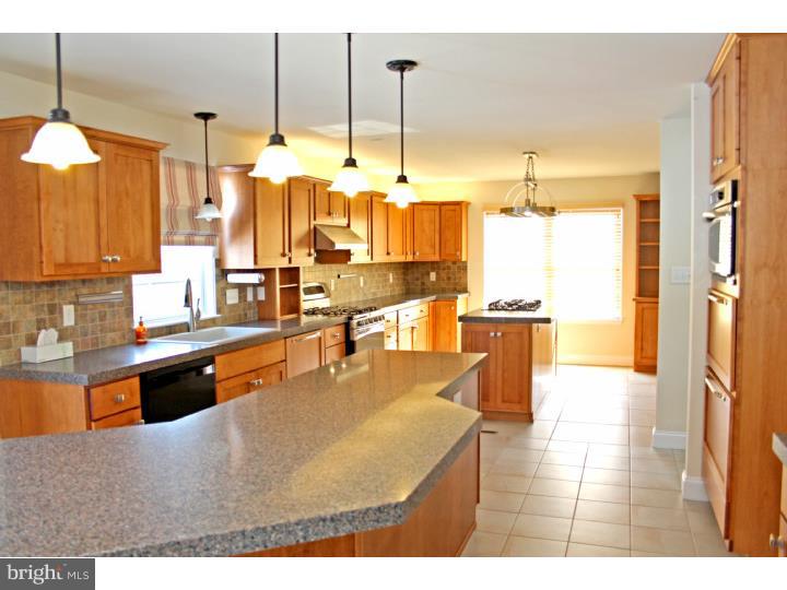 1021 Gibraltar Road Birdsboro, PA 19508 - Photo 5 of 20 Kitchen