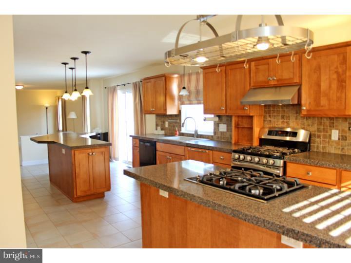 1021 Gibraltar Road Birdsboro, PA 19508 - Photo 6 of 20 Kitchen