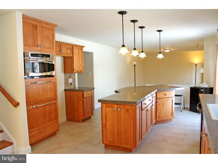 1021 Gibraltar Road Birdsboro, PA 19508 - Photo 7 of 20 Kitchen