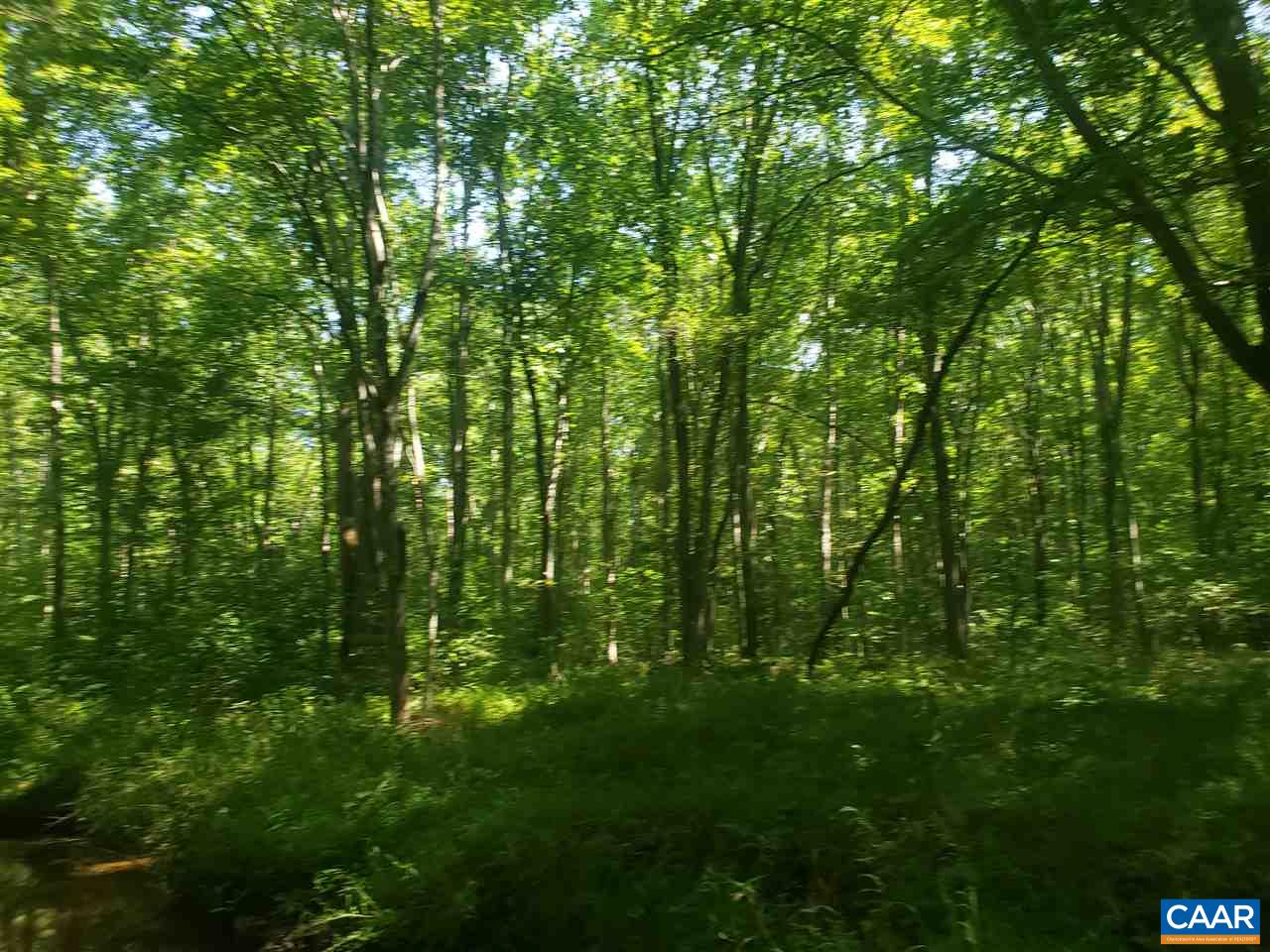 Lot 3 Lightwood Road Louisa, VA 23093 - Photo 3 of 13 Gallery Image 3