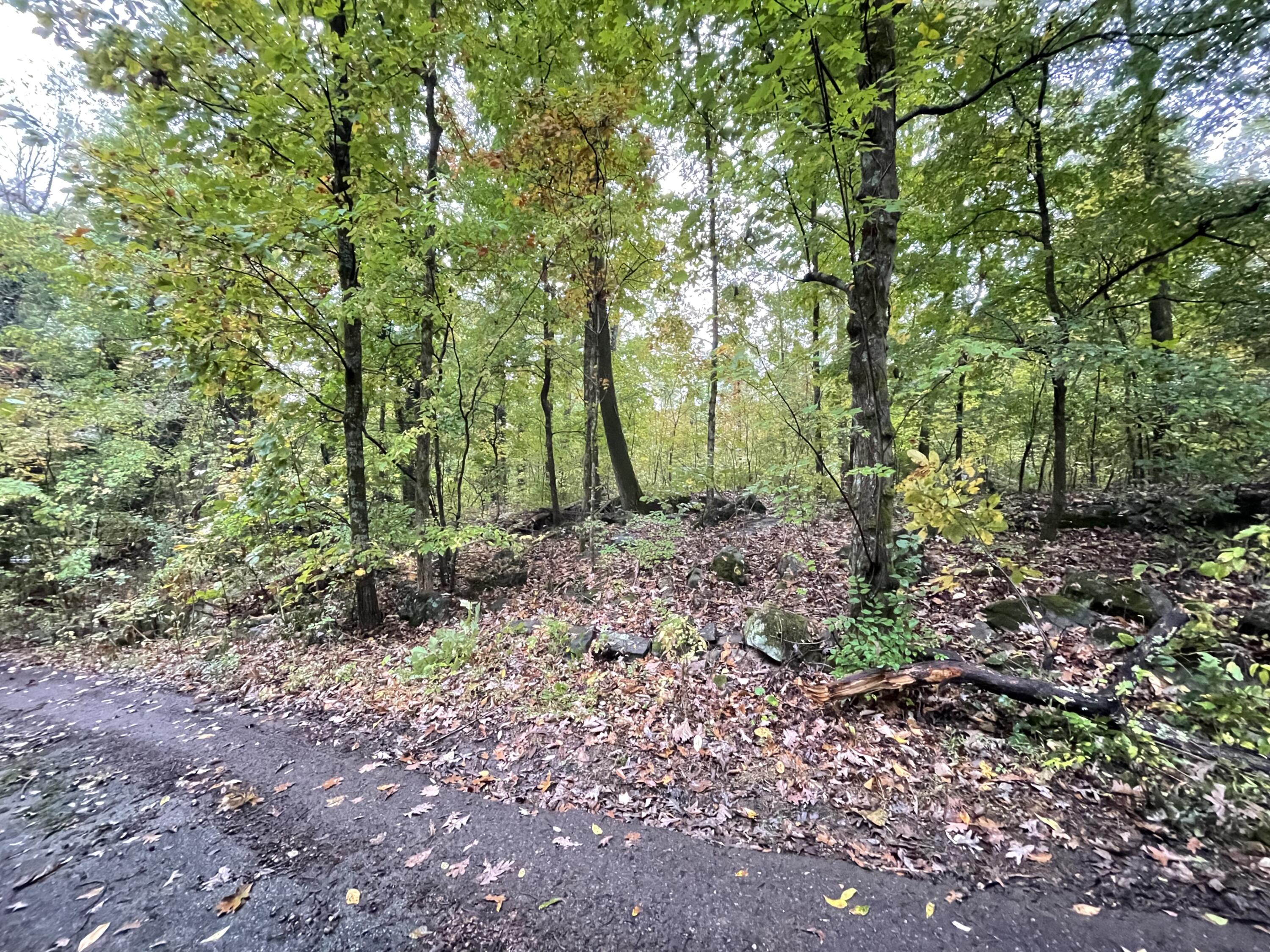 3932 W Road, Unit LTS 2 & 3 Signal Mountain, TN 37377 - Photo 2 of 13 IMG_3888