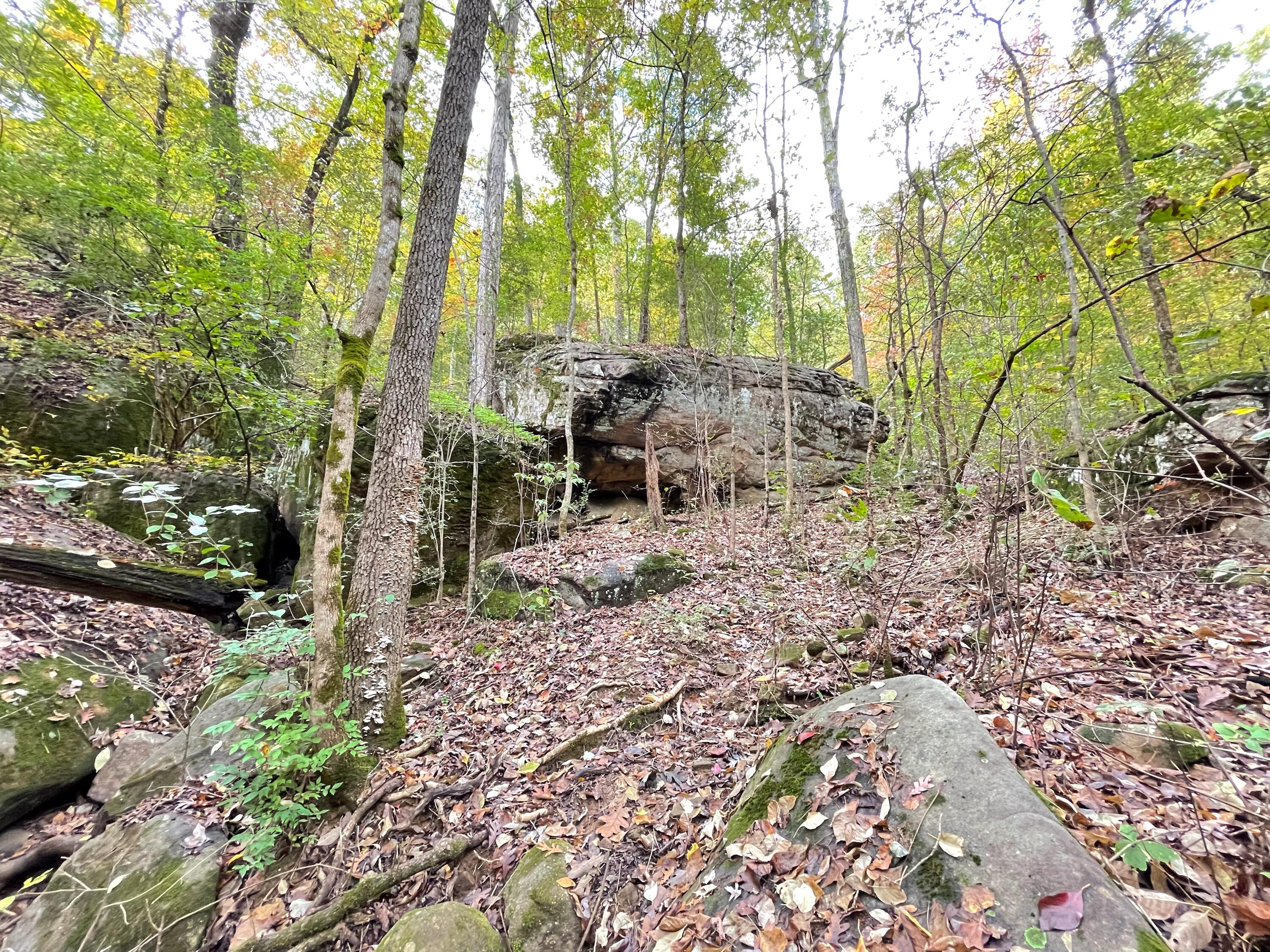 3932 W Road, Unit LTS 2 & 3 Signal Mountain, TN 37377 - Photo 13 of 13 IMG_3916