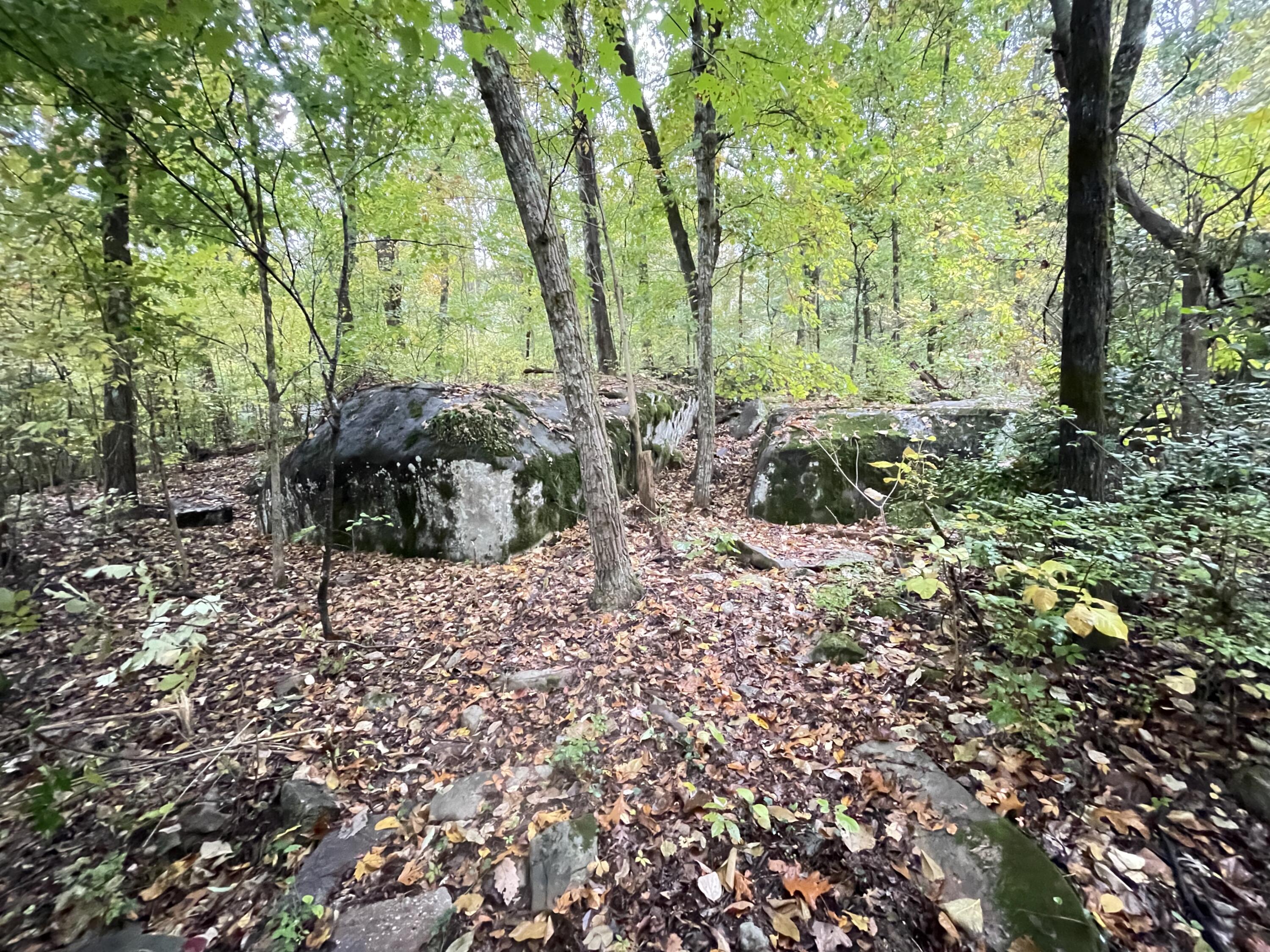 3932 W Road, Unit LTS 2 & 3 Signal Mountain, TN 37377 - Photo 7 of 13 IMG_3885