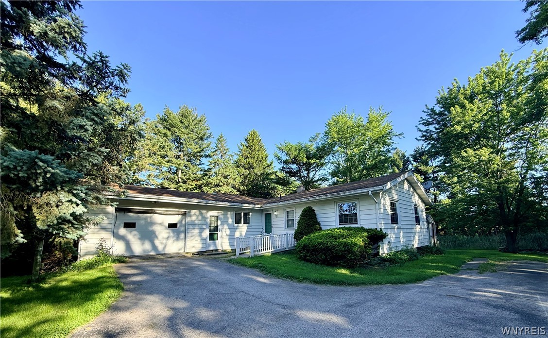 5313 Watson Road Elba, NY 14058 - Photo 4 of 22