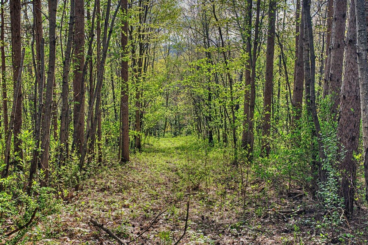 N2487 Nuttleman Road Barre, WI 54601 - Photo 62 of 91 211-123056469 - Copy
