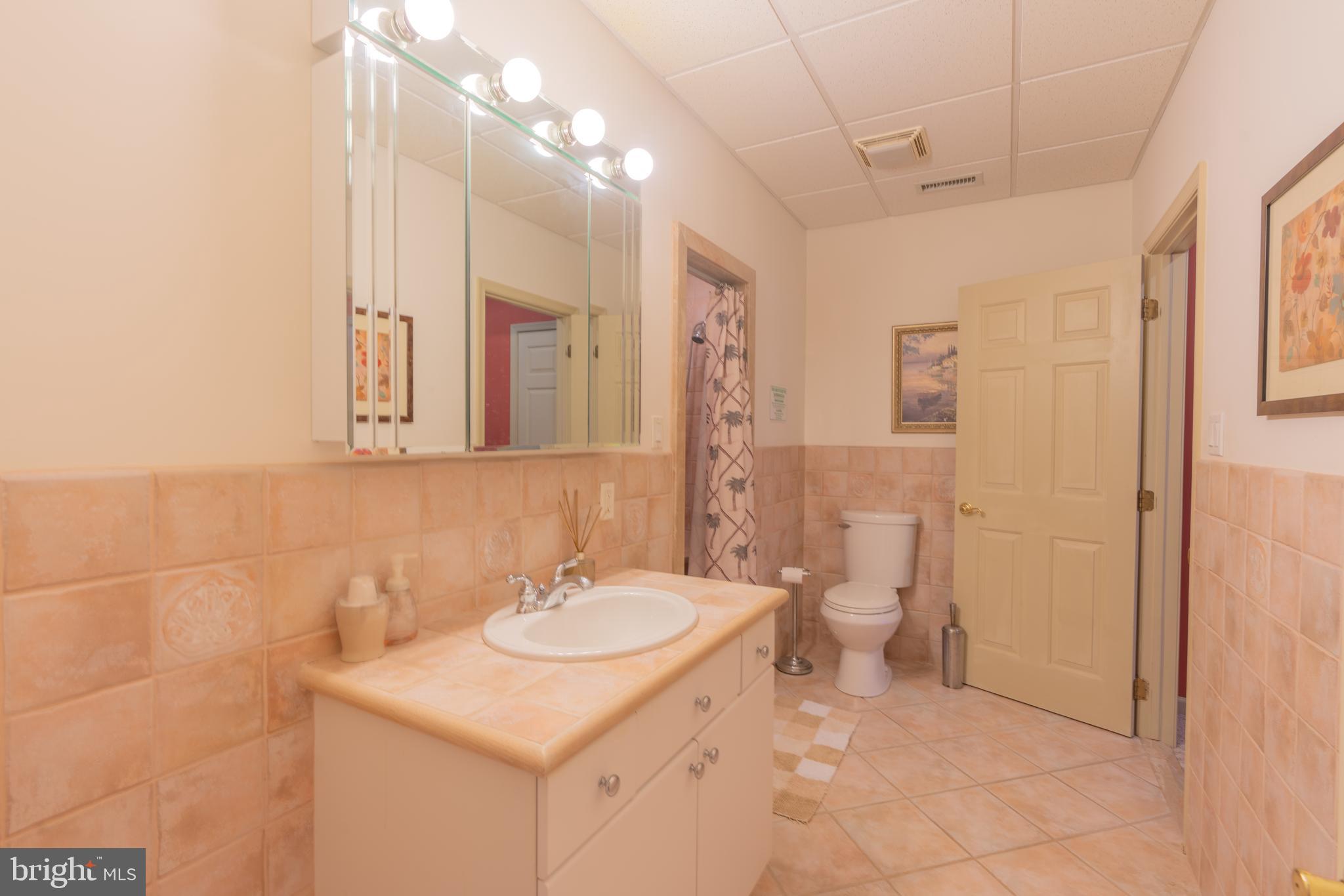 118 Beech Terrace Springfield, PA 19064 - Photo 22 of 55 Gallery Image 22