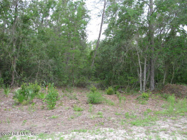 208 Clear Lake Road Crescent City, FL 32112 - Photo 11 of 14 208 ON LEFT OF POST IMG_0011