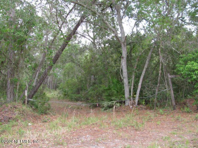208 Clear Lake Road Crescent City, FL 32112 - Photo 12 of 14 210 DRIVEWAY IMG_0016