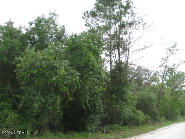 208 Clear Lake Road Crescent City, FL 32112 - Photo 13 of 14 208 LAND FRONTAGE IMG_0030