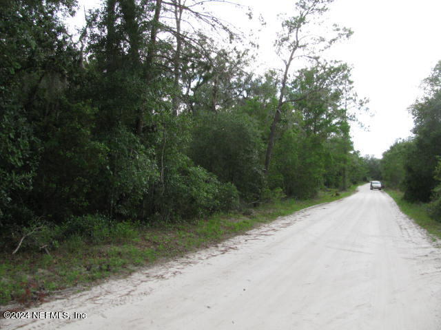 208 Clear Lake Road Crescent City, FL 32112 - Photo 3 of 14 208 LAND ROAD FRONTAGE IMG_0034