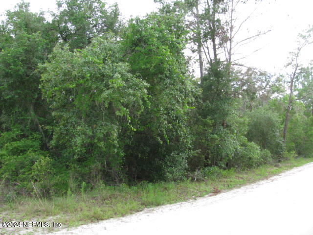 208 Clear Lake Road Crescent City, FL 32112 - Photo 8 of 14 LAND - CLEAR LAKE RD IMG_0029