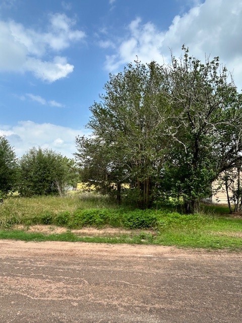 0 2nd Street Hempstead, TX 77445 - Photo 4 of 5