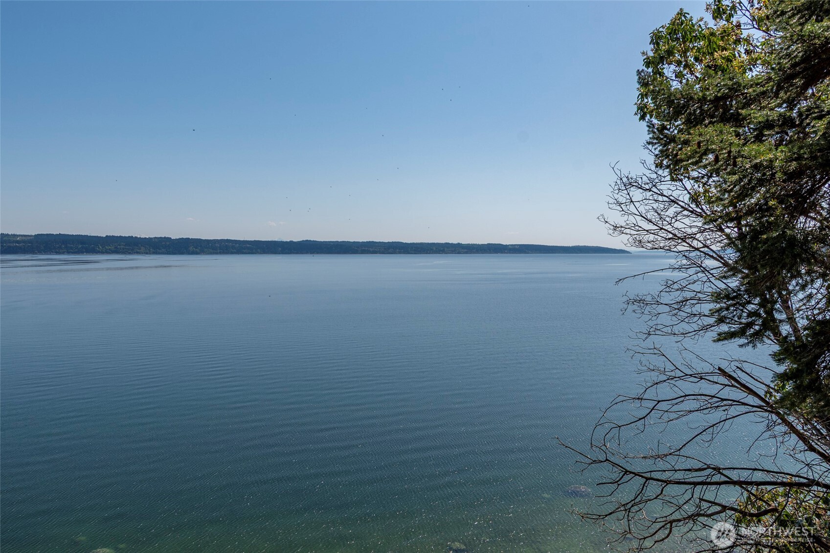0 South Harrington Road Coupeville, WA 98239 - Photo 11 of 18 a view of small space with a tree