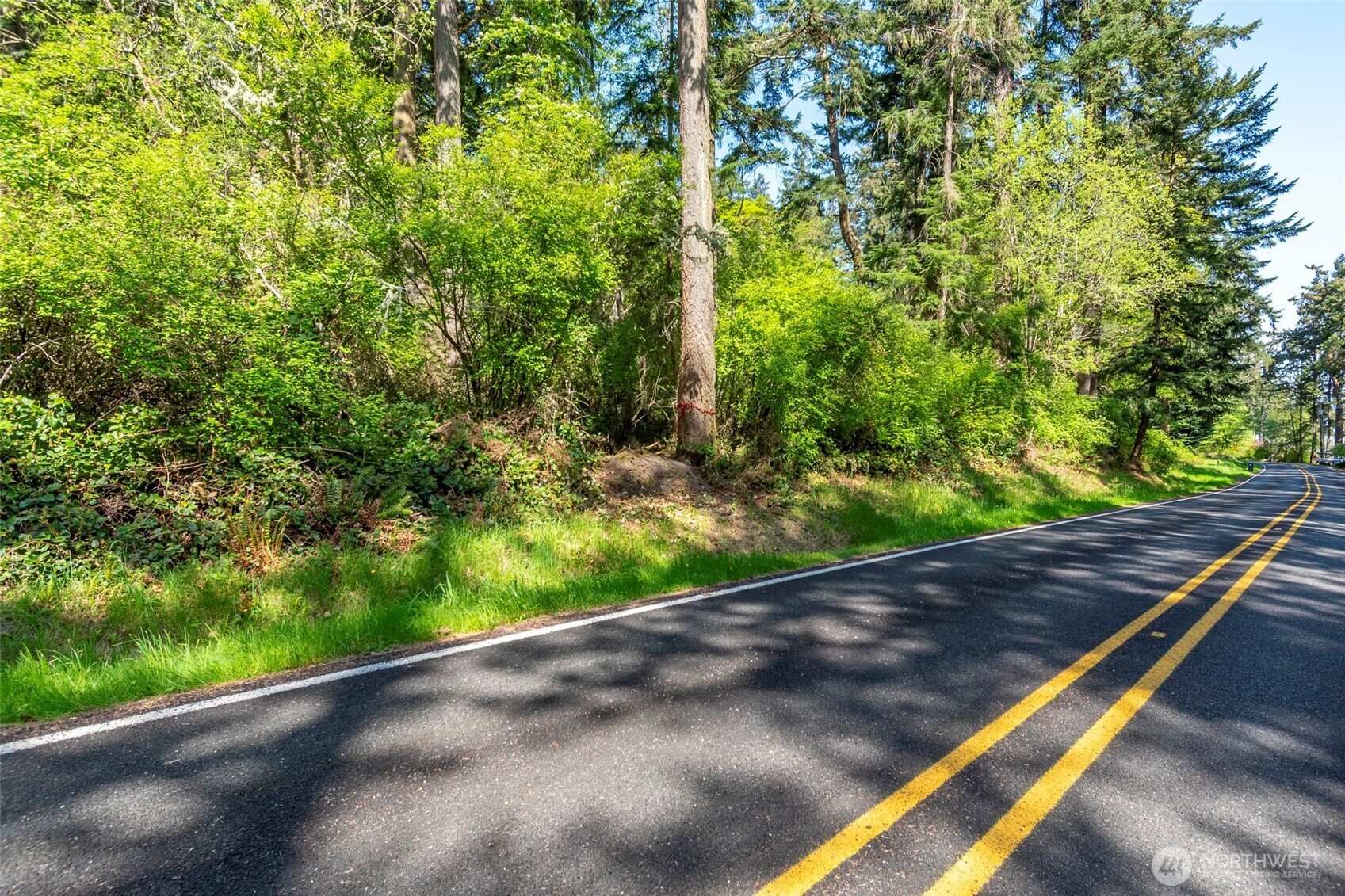 0 South Harrington Road Coupeville, WA 98239 - Photo 18 of 18 a view of a garden with an empty space