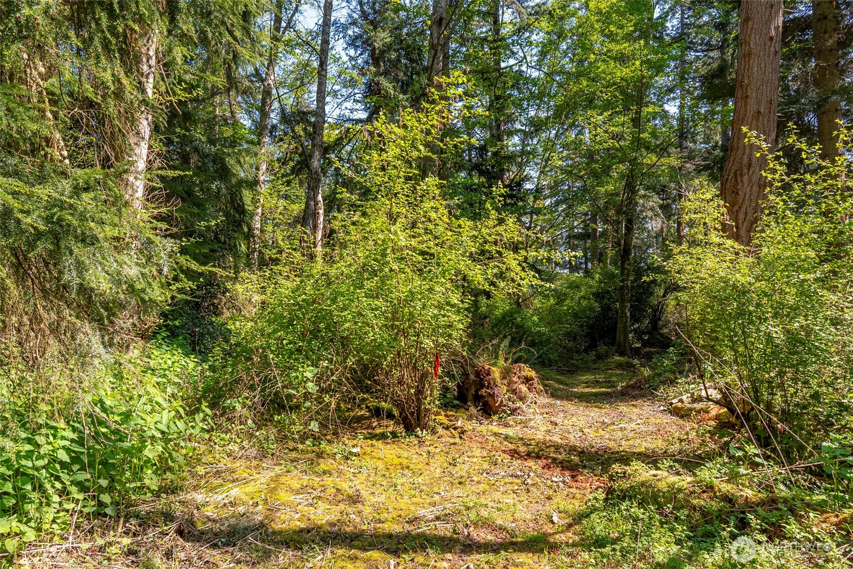 0 South Harrington Road Coupeville, WA 98239 - Photo 9 of 18 a view of a yard