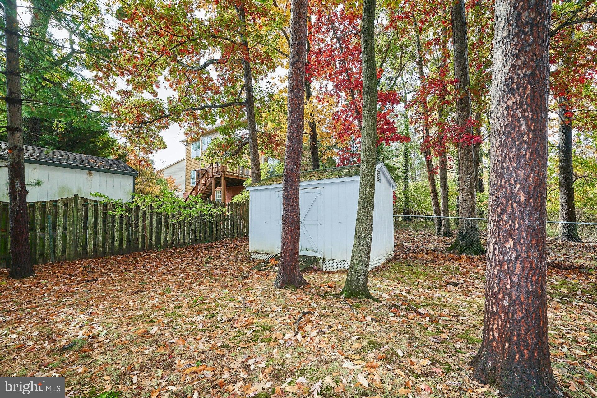 2002 Byrd Road Vienna, VA 22182 - Photo 44 of 48 Serene backyard retreat with autumn hues.