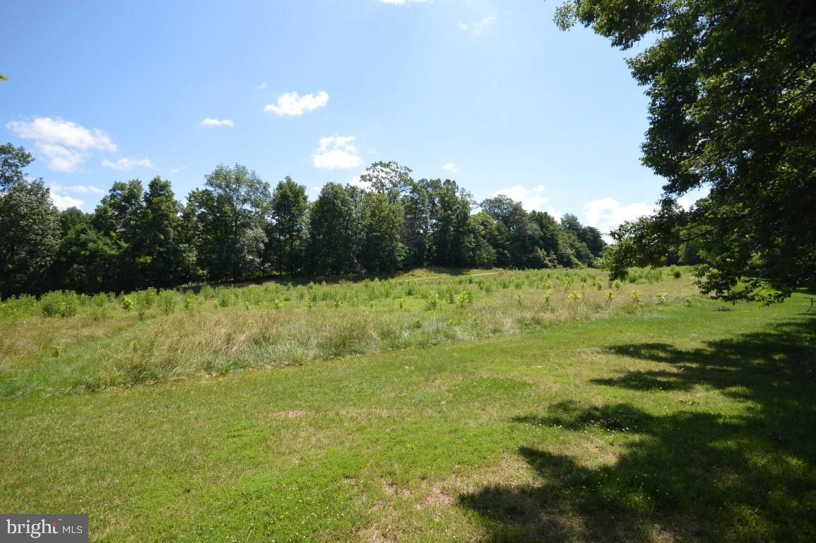 14444 Clubhouse Road Gainesville, VA 20155 - Photo 3 of 42 Huge Conversation Area Behind Home