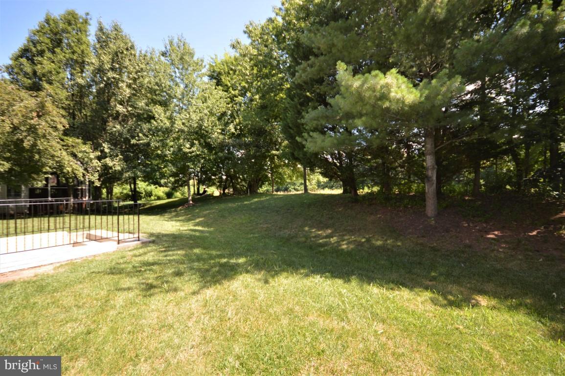 14444 Clubhouse Road Gainesville, VA 20155 - Photo 4 of 42 Fantastic Private & Level Back Yard