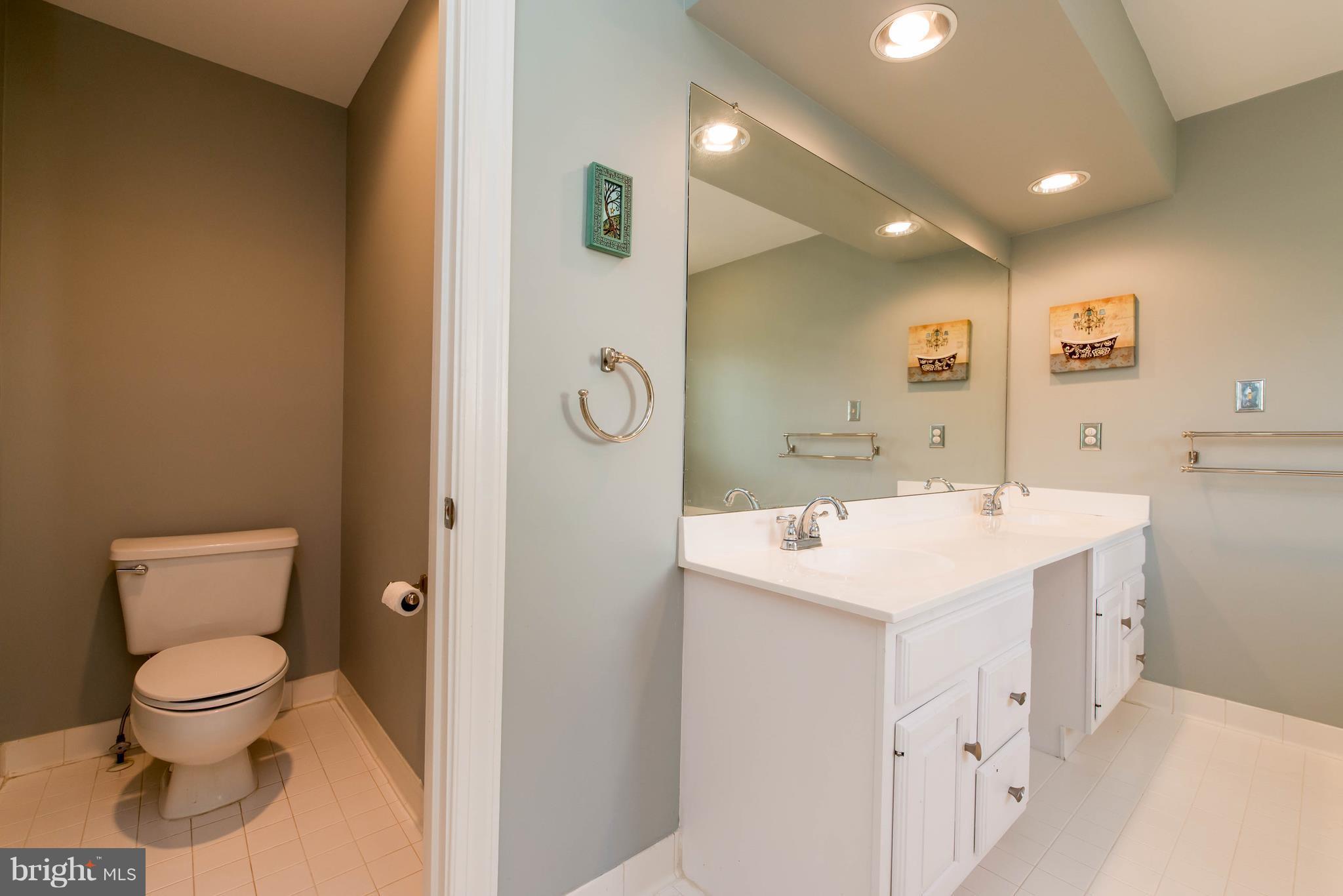 8386 Autumn Rust Road Ellicott City, MD 21043 - Photo 21 of 30 Bath (Master)