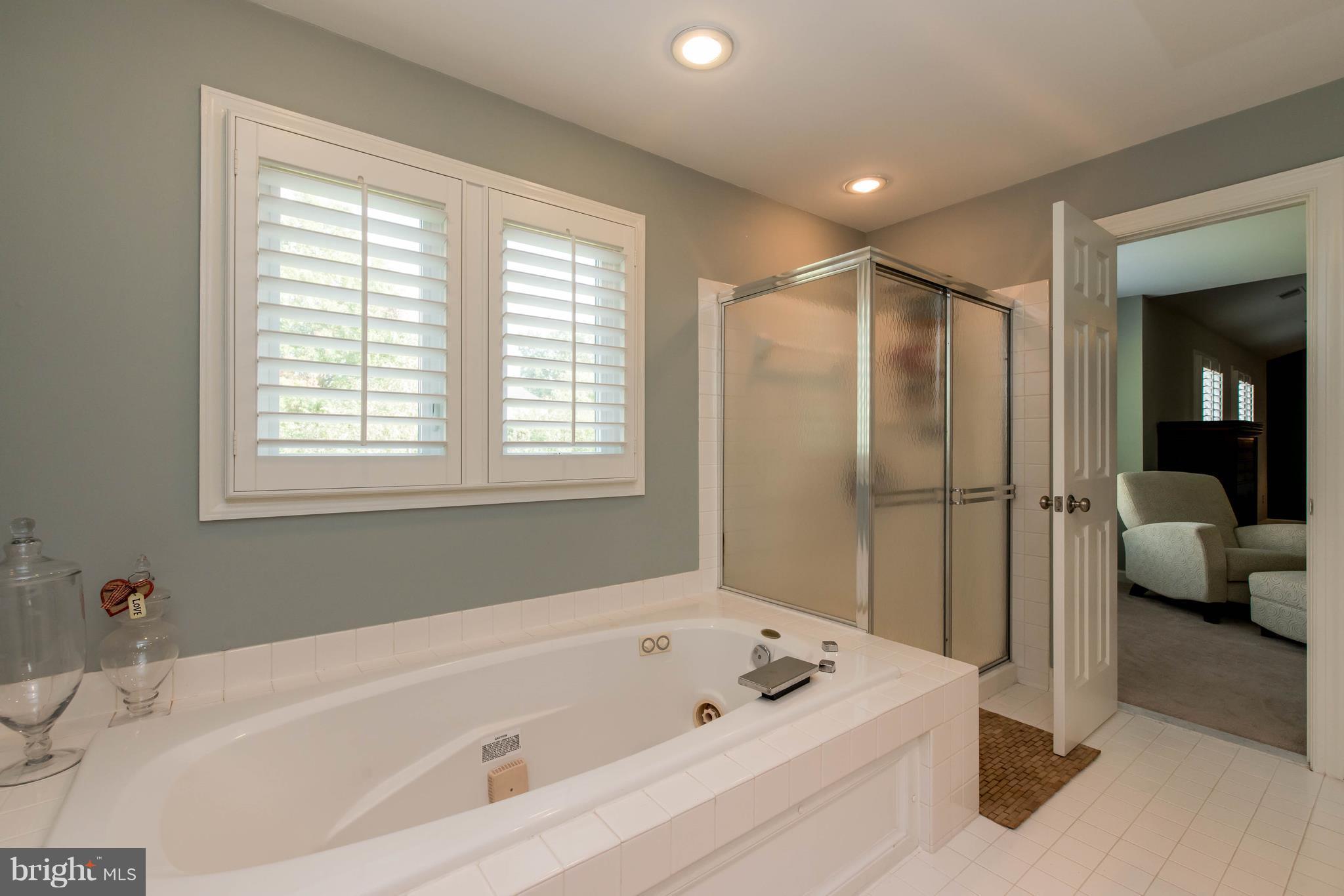 8386 Autumn Rust Road Ellicott City, MD 21043 - Photo 22 of 30 Bath (Master)