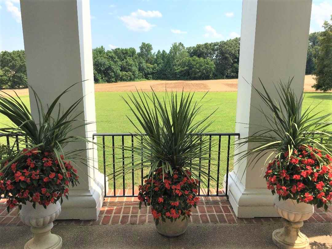 803 Culbreath Road Covington, TN 38019 - Photo 23 of 25 Gallery Image 23