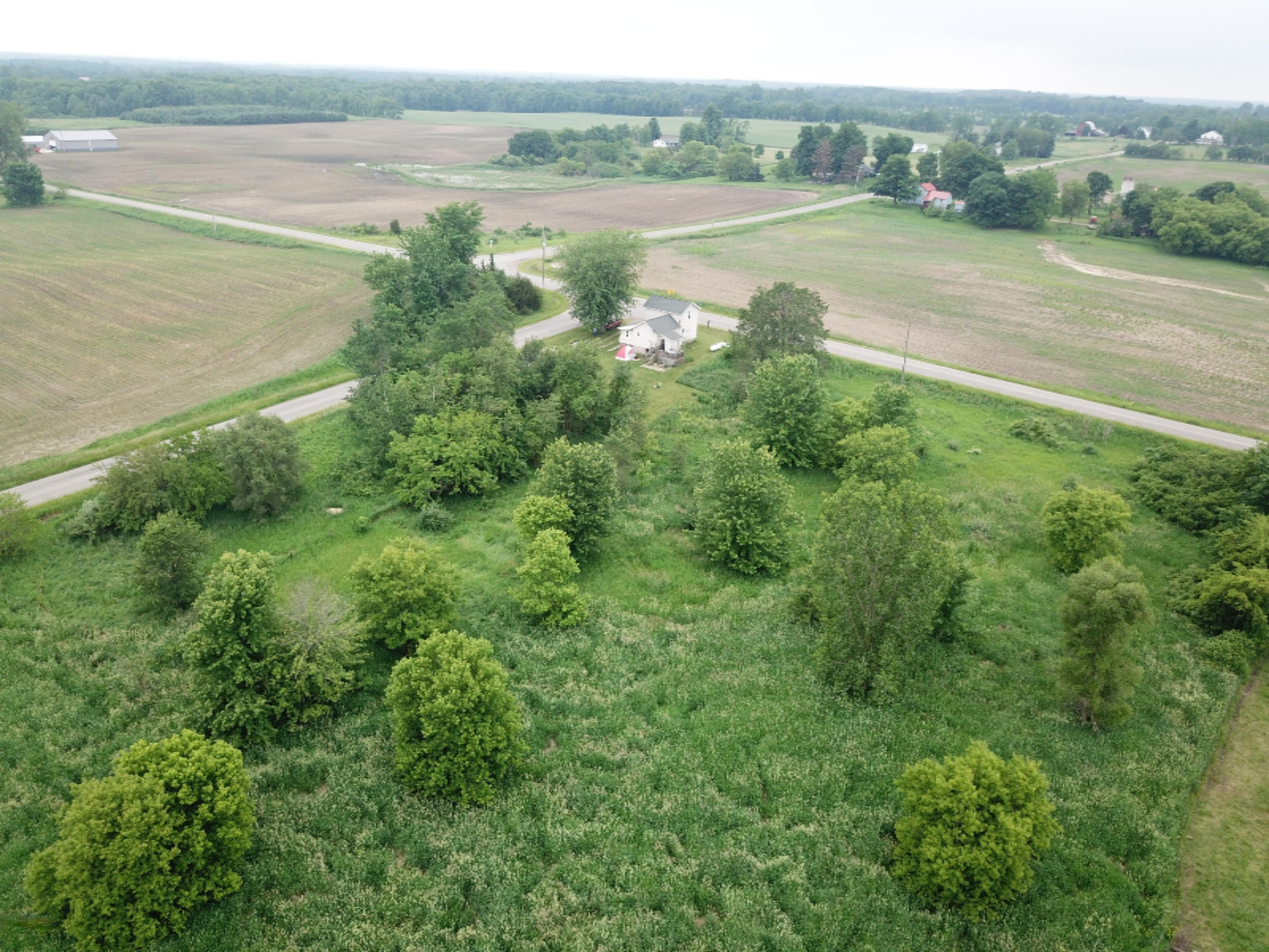 2997 South Pittsford Road Pittsford, MI 49271 - Photo 4 of 16 org_600f1153bafdf95f_1560811180000
