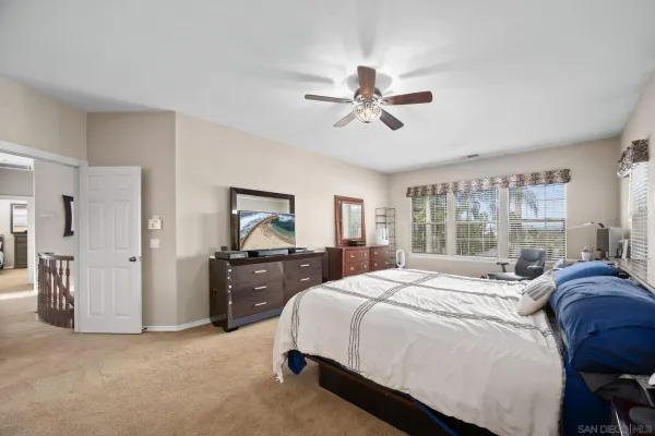 a view of a yard with palm trees