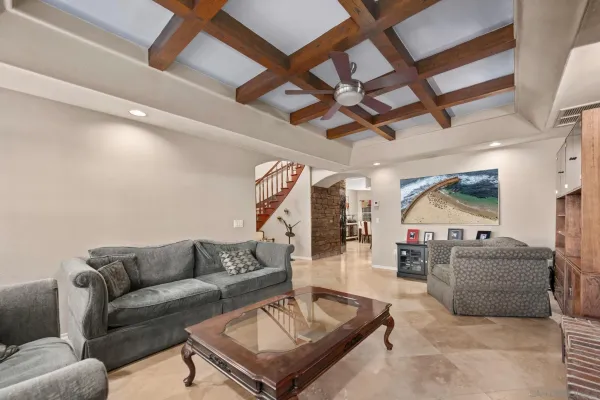 a view of a backyard with plants and palm trees