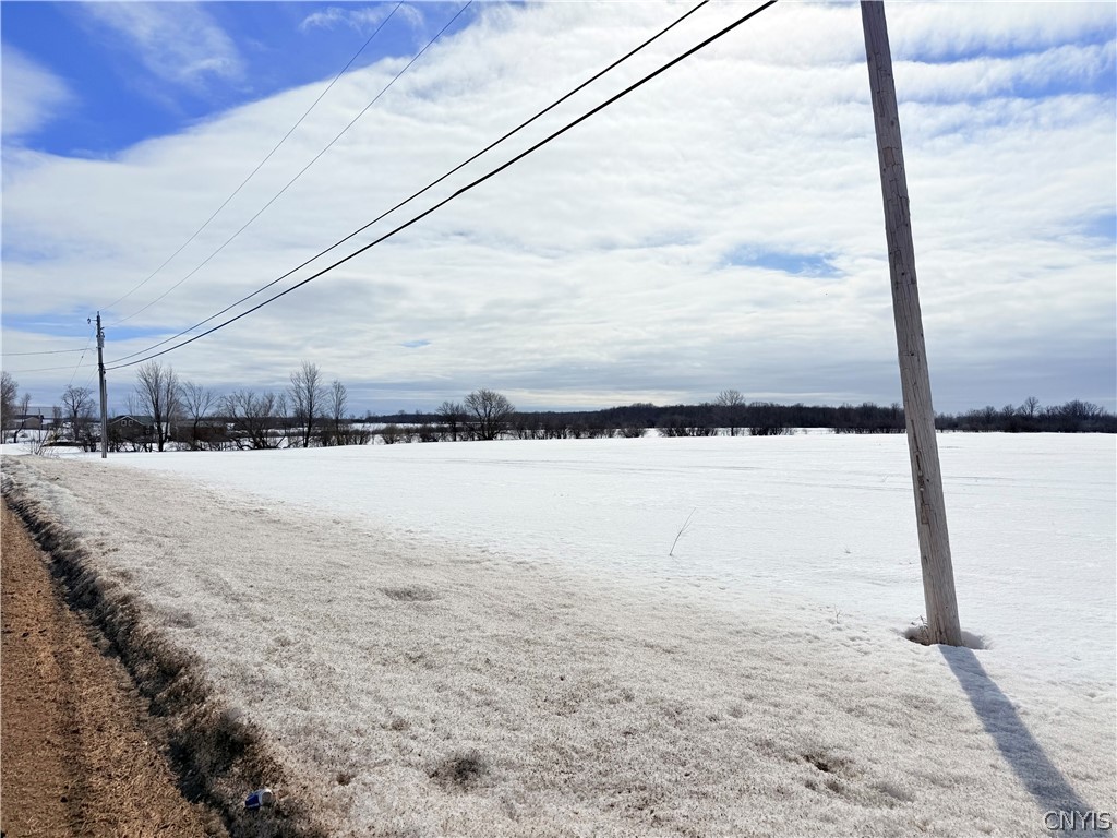 Carter Road La Fargeville, NY 13656 - Photo 3 of 12