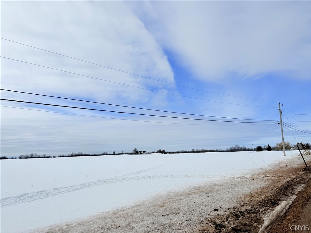 Carter Road La Fargeville, NY 13656 - Photo 4 of 12