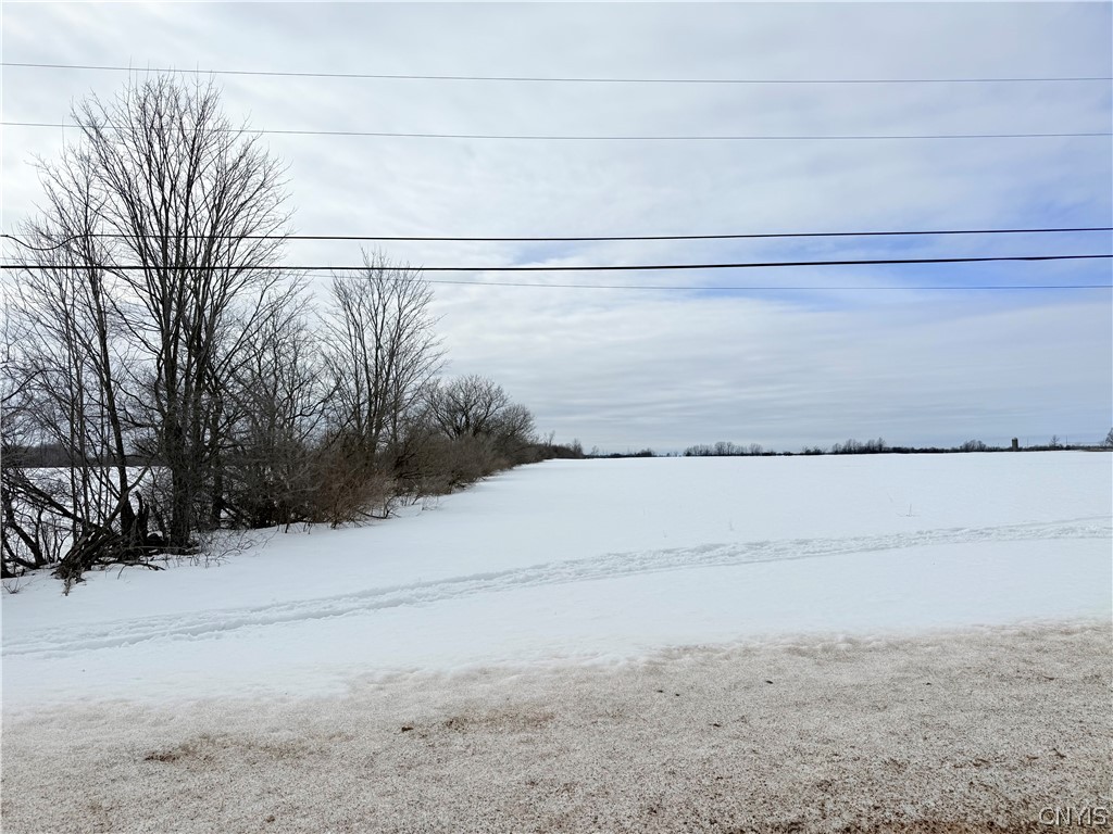 Carter Road La Fargeville, NY 13656 - Photo 5 of 12