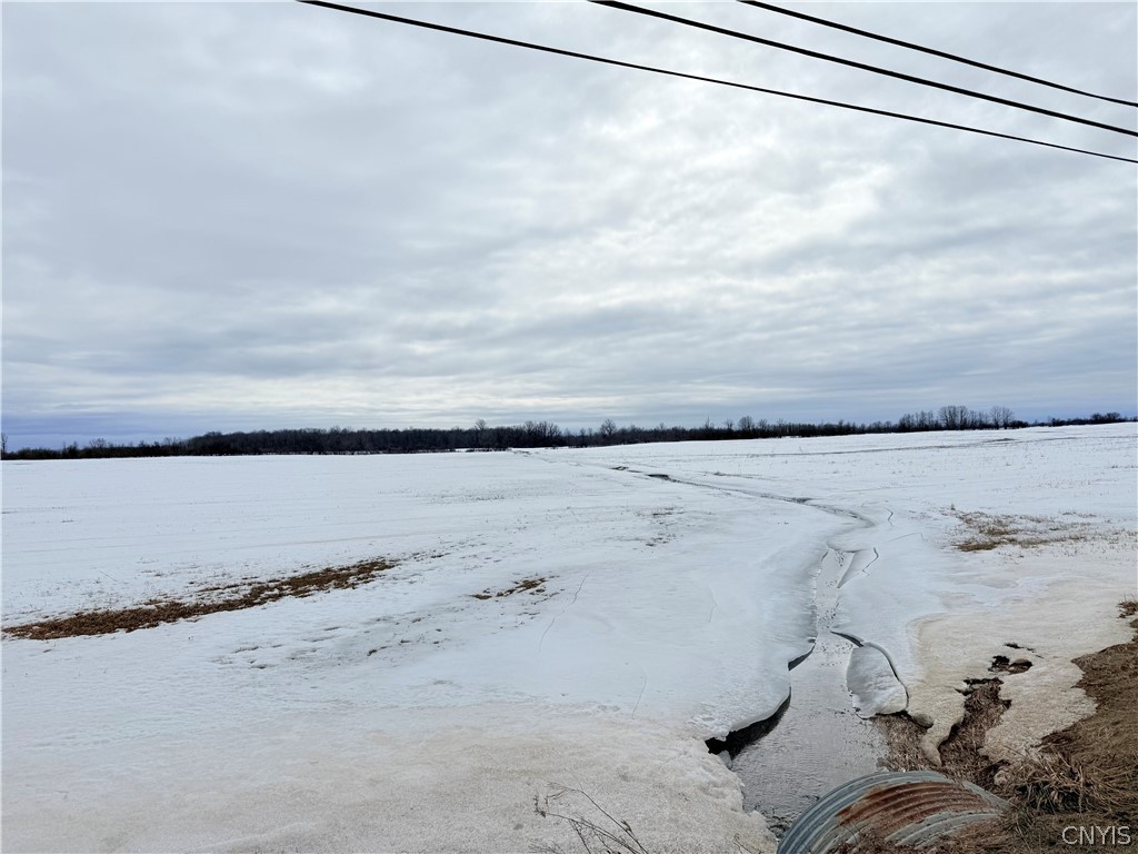 Carter Road La Fargeville, NY 13656 - Photo 10 of 12