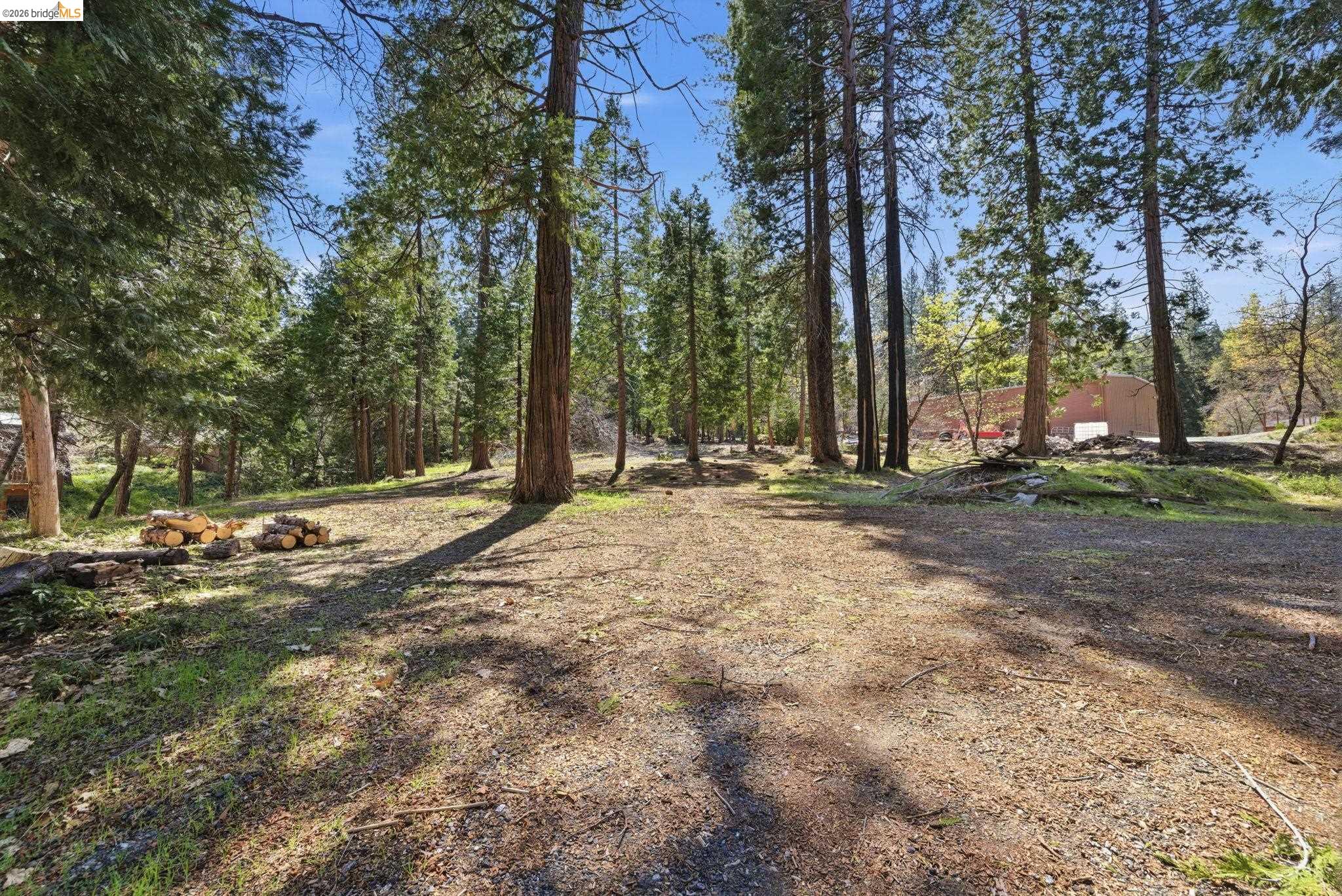24189 South Fork Road Twain Harte, CA 95383 - Photo 27 of 34 a view of outdoor space with trees