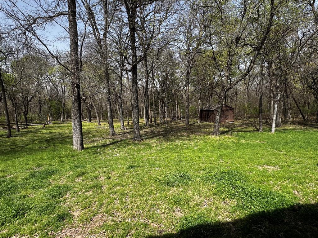 121 Rey Del Mar Circle Weatherford, TX 76085 - Photo 25 of 29 a backyard of a house with lots of green space