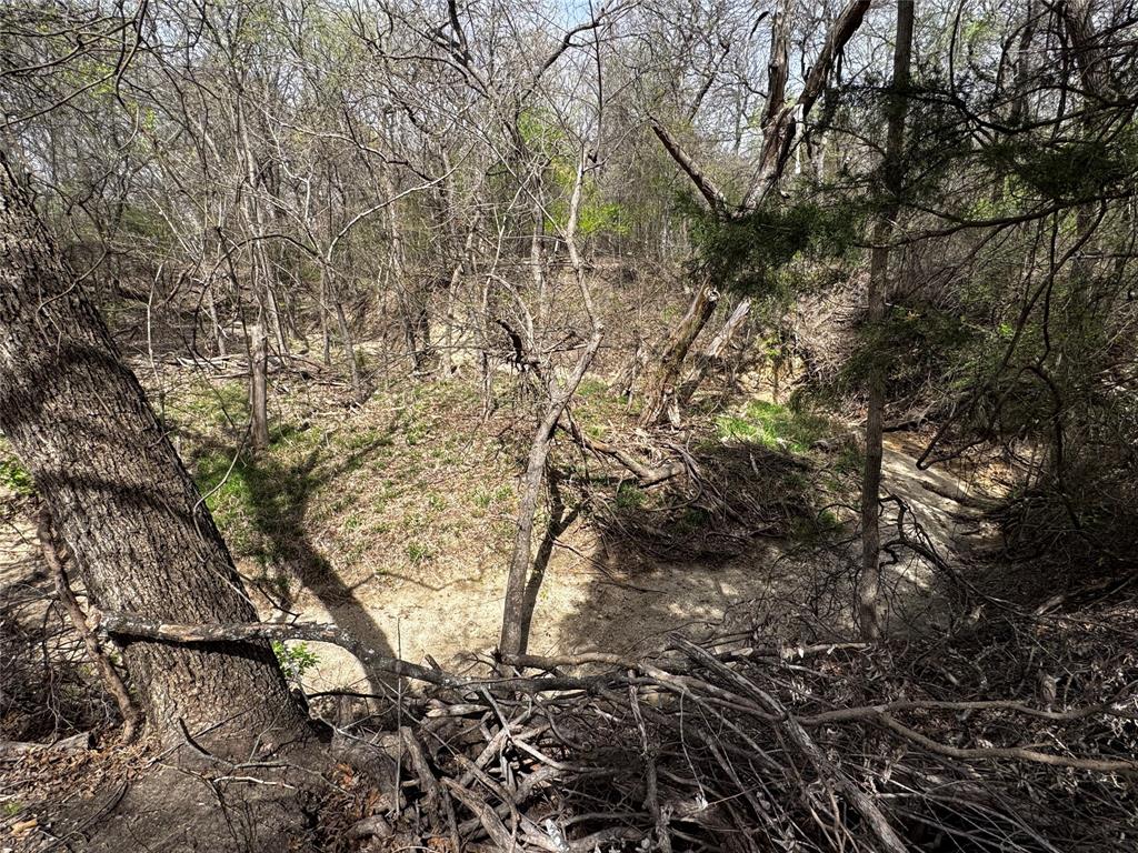 121 Rey Del Mar Circle Weatherford, TX 76085 - Photo 26 of 29 a view of tree