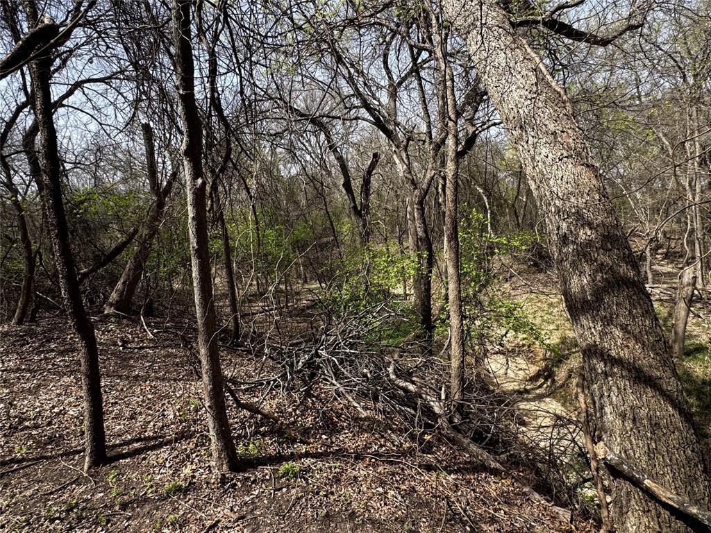 121 Rey Del Mar Circle Weatherford, TX 76085 - Photo 27 of 29 a view of a forest filled with trees
