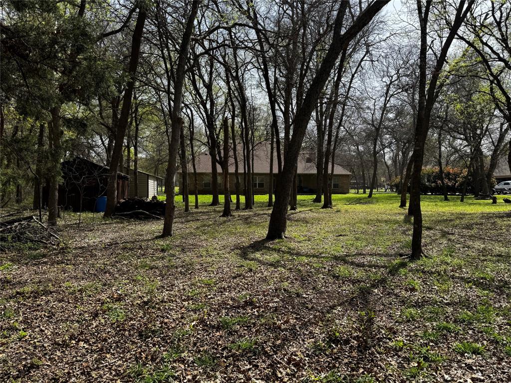 121 Rey Del Mar Circle Weatherford, TX 76085 - Photo 28 of 29 a view of park with trees