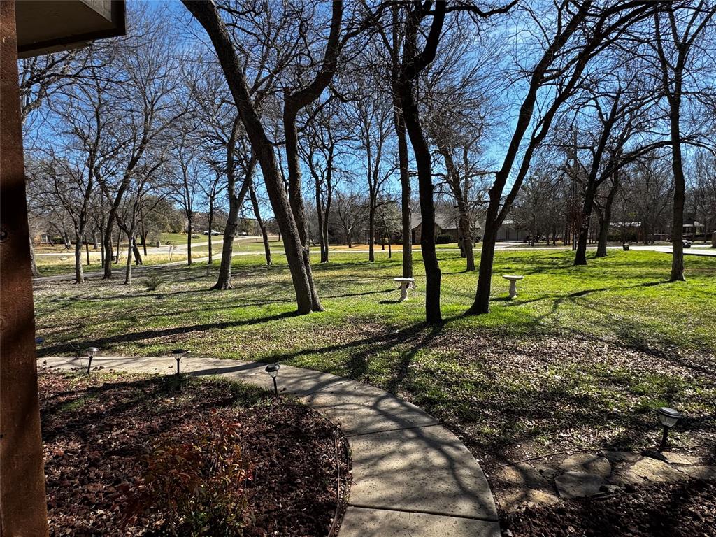 121 Rey Del Mar Circle Weatherford, TX 76085 - Photo 6 of 29 a view of a backyard with green space