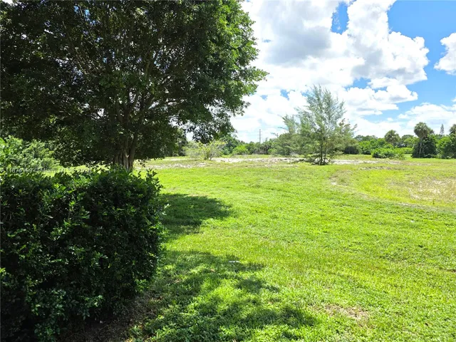 a view of a field with an trees in the background