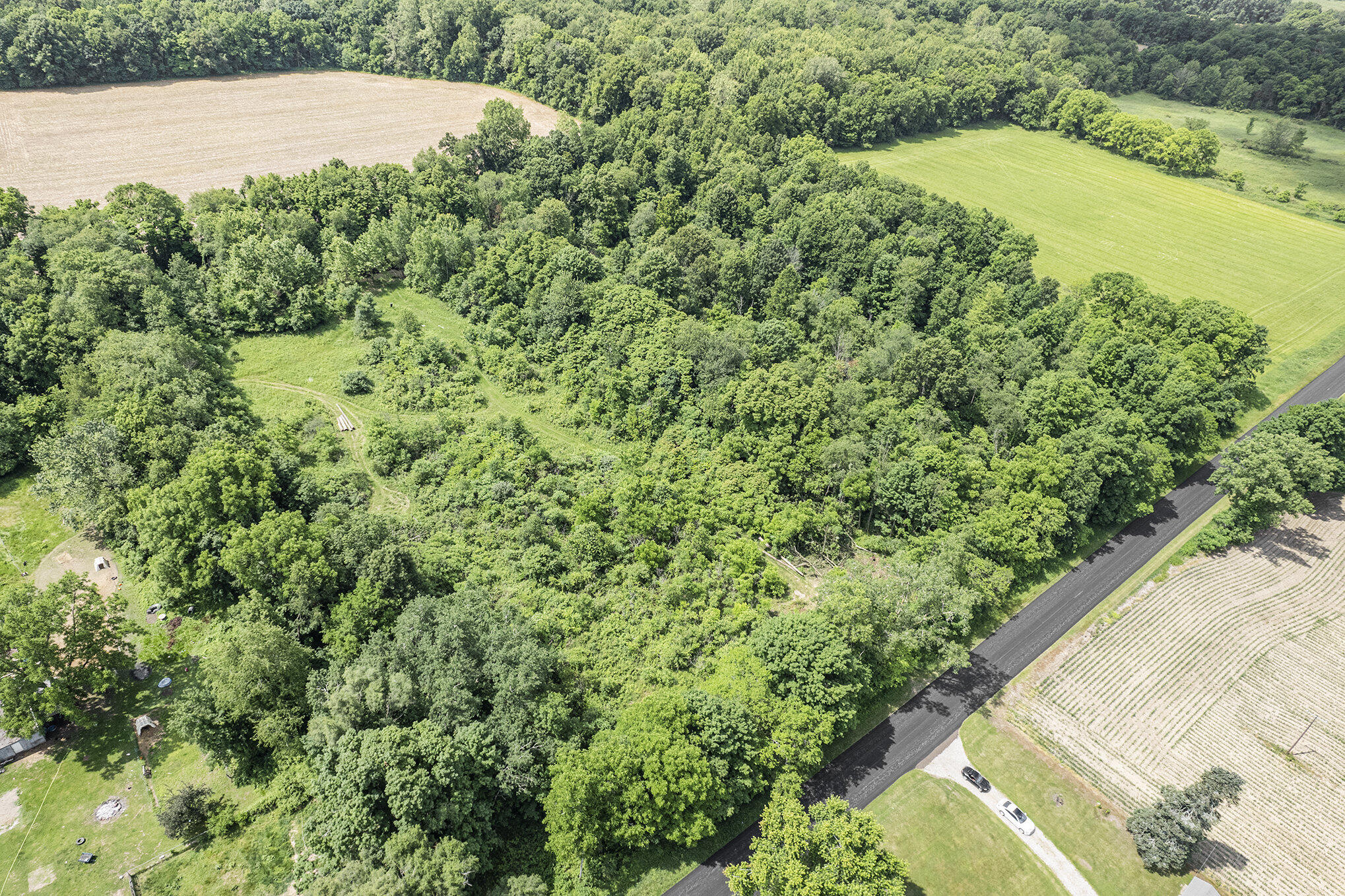 1065 South Butler Road Quincy, MI 49082 - Photo 1 of 10 003_dji_0003_221