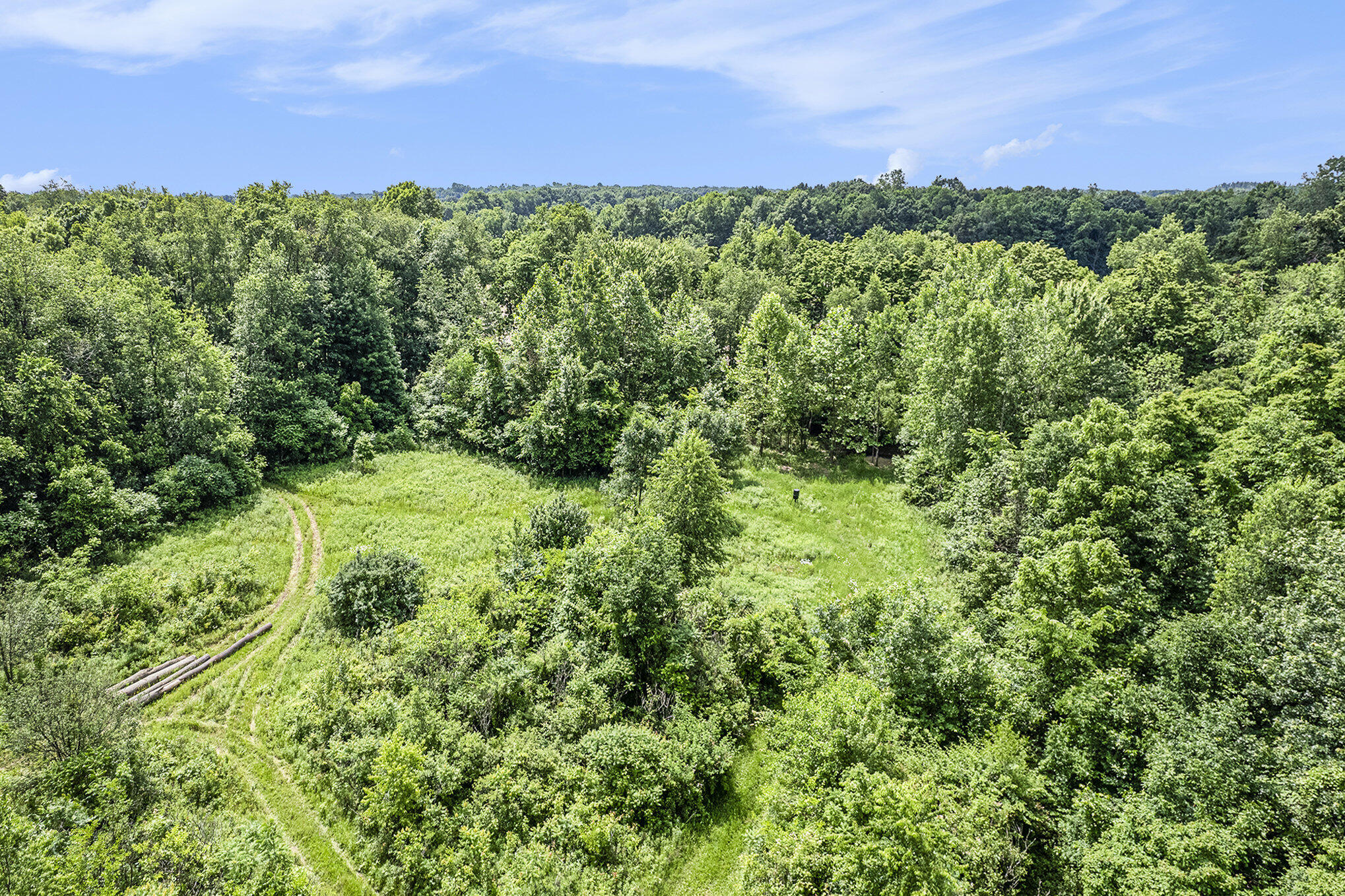 1065 South Butler Road Quincy, MI 49082 - Photo 3 of 10 010_dji_0015_826