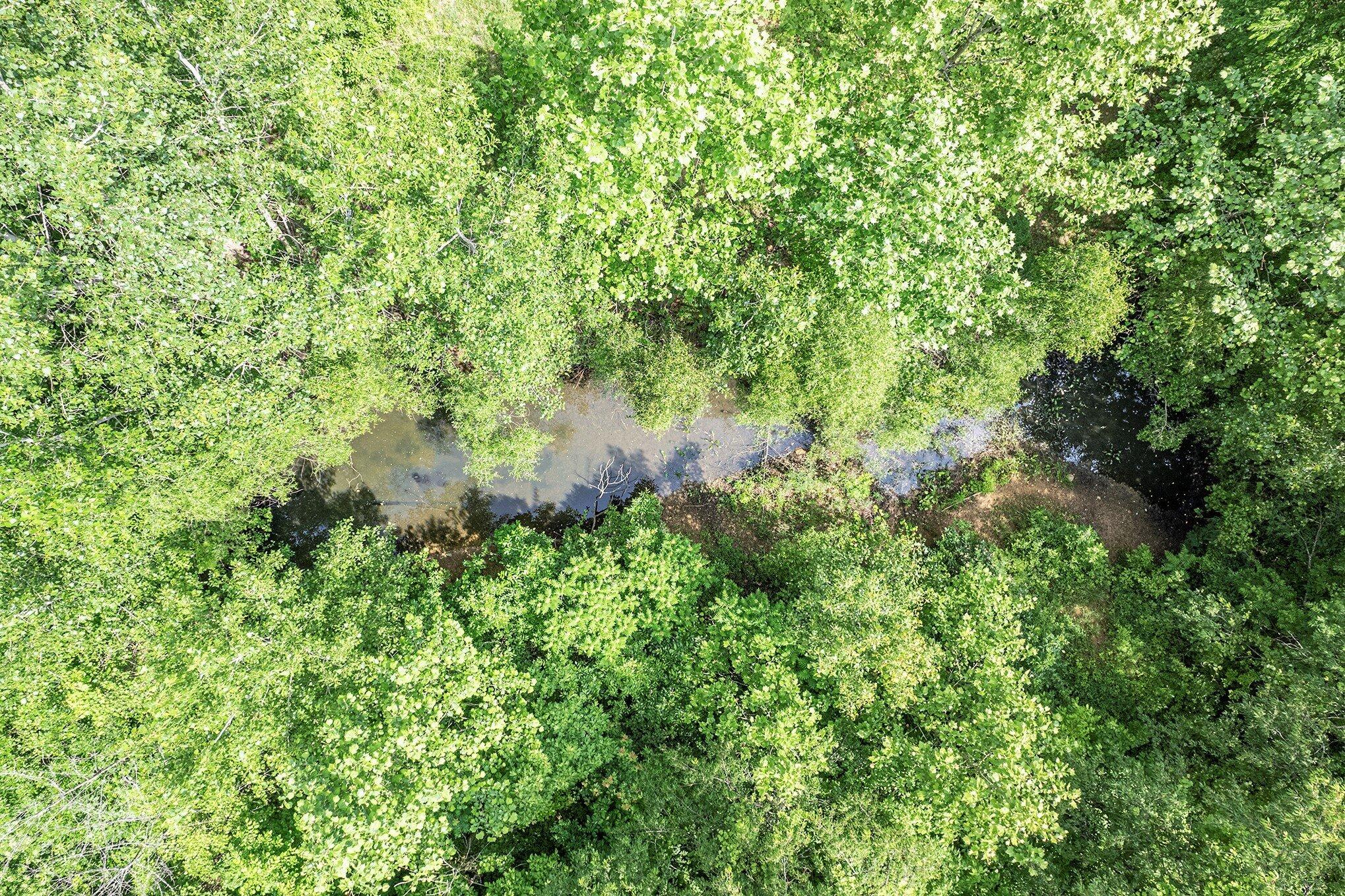 1065 South Butler Road Quincy, MI 49082 - Photo 5 of 10 007_dji_0008_900