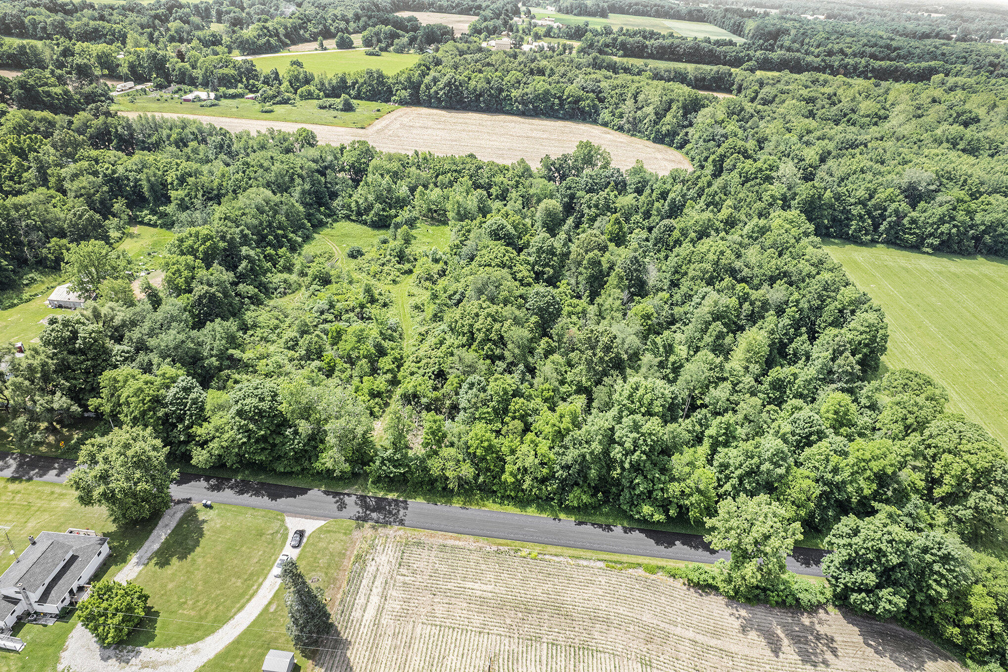 1065 South Butler Road Quincy, MI 49082 - Photo 7 of 10 001_dji_0001_684
